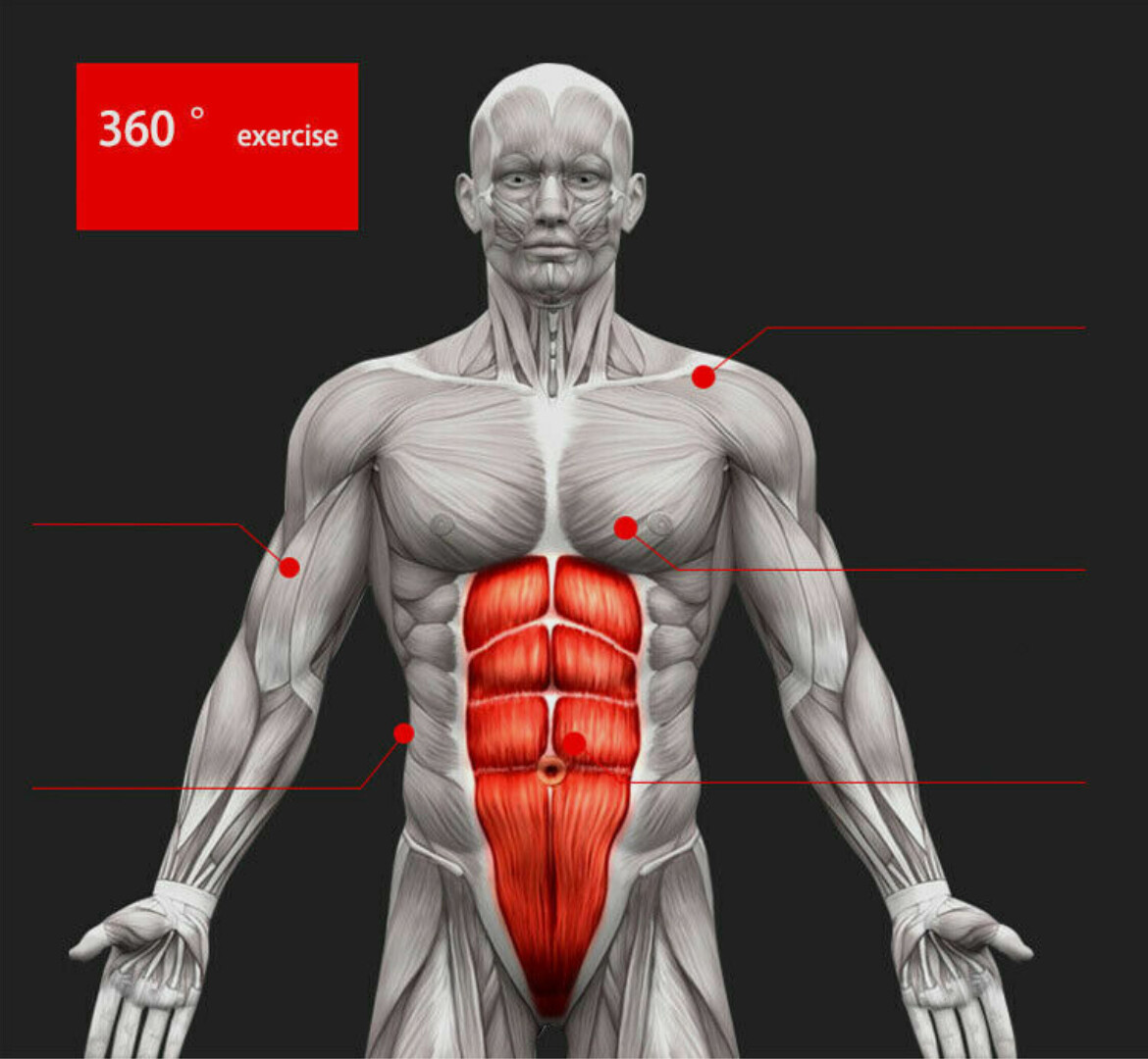 Pro Abs Roller Exercise Wheel Abdominal Core Strength Workout Muscle Cruncher - Image 8